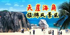 www.亚洲一级毛片子成人海南三亚-天崖海角旅游风景区