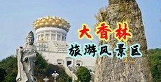 被操视频网站直接进入中国浙江-绍兴大香林旅游风景区